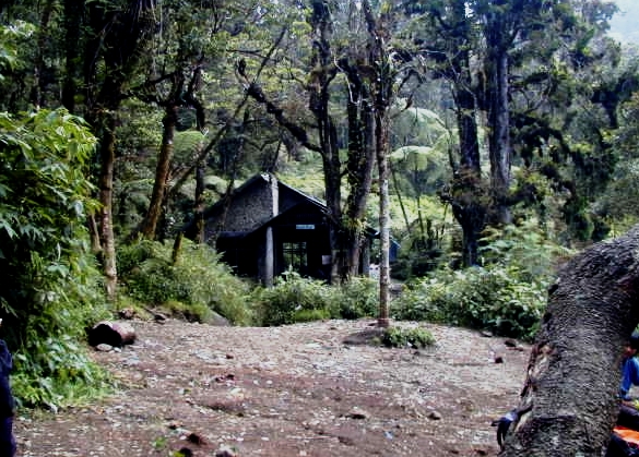 kandang badak gede pangrango