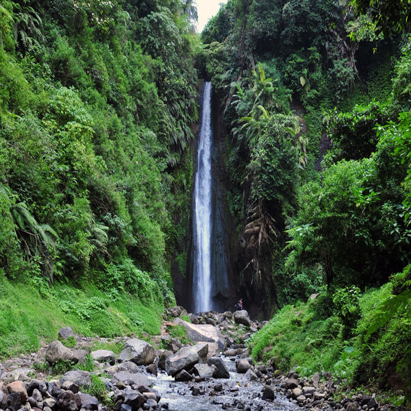 Curug Ciismun Kebun Raya Cibodas