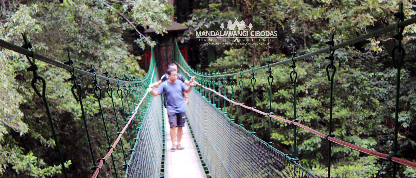 canopy trail cibodas
