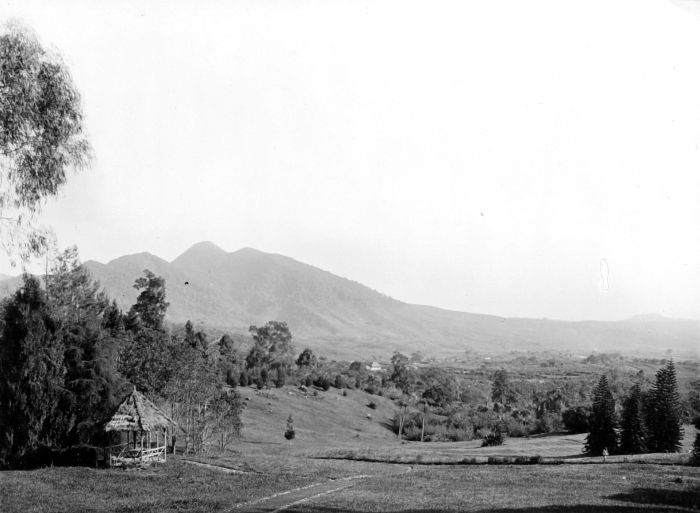 kebun raya cibodas tempo dulu