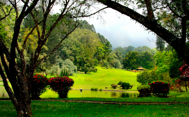 taman kebun raya cibodas